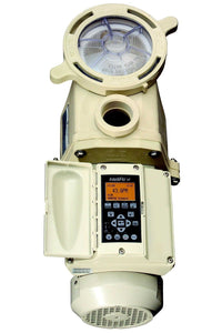 Pentair 011012 IntelliFlo VF 3HP 230V High Performance Pump