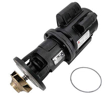 Load image into Gallery viewer, Pentair RA2117202 0.5HP Circulation Pump