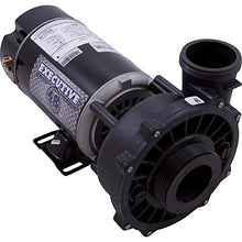 Load image into Gallery viewer, Waterway 3420410-13 1HP 115V 60Hz 2-Speed 48-Frame Executive Pump