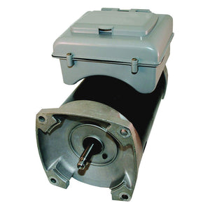 A.O. Smith B2981T 0.75HP 115V 2-Speed 56Y Frame Square Flange Pool Pump Motor