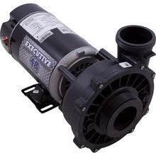 Load image into Gallery viewer, Waterway 3420410-13 1HP 115V 60Hz 2-Speed 48-Frame Executive Pump