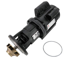 Load image into Gallery viewer, Pentair RA2117202 0.5HP Circulation Pump