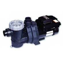 Load image into Gallery viewer, Raypak 951474 1.65THP 208-230V 11Amp Professional Pump